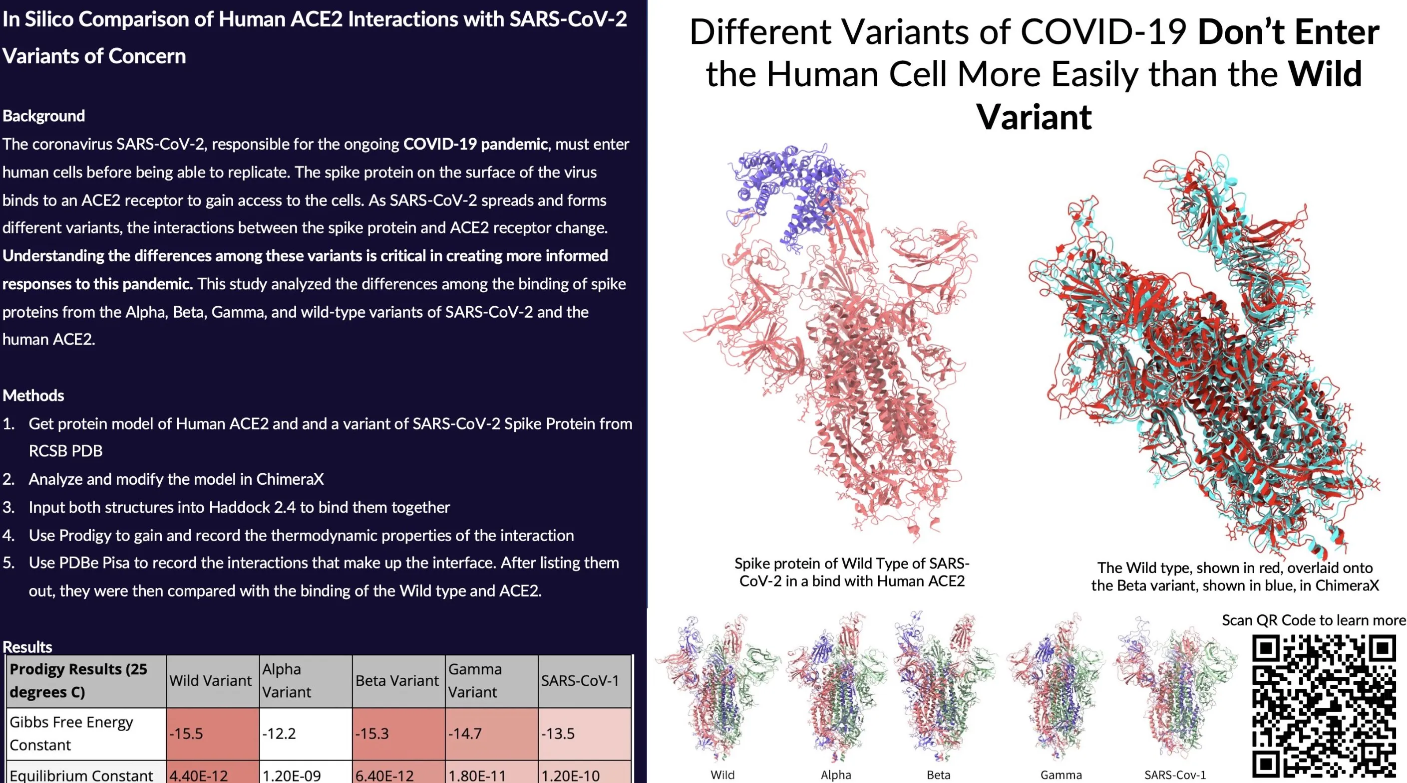 Another poster with some cool proteins on it