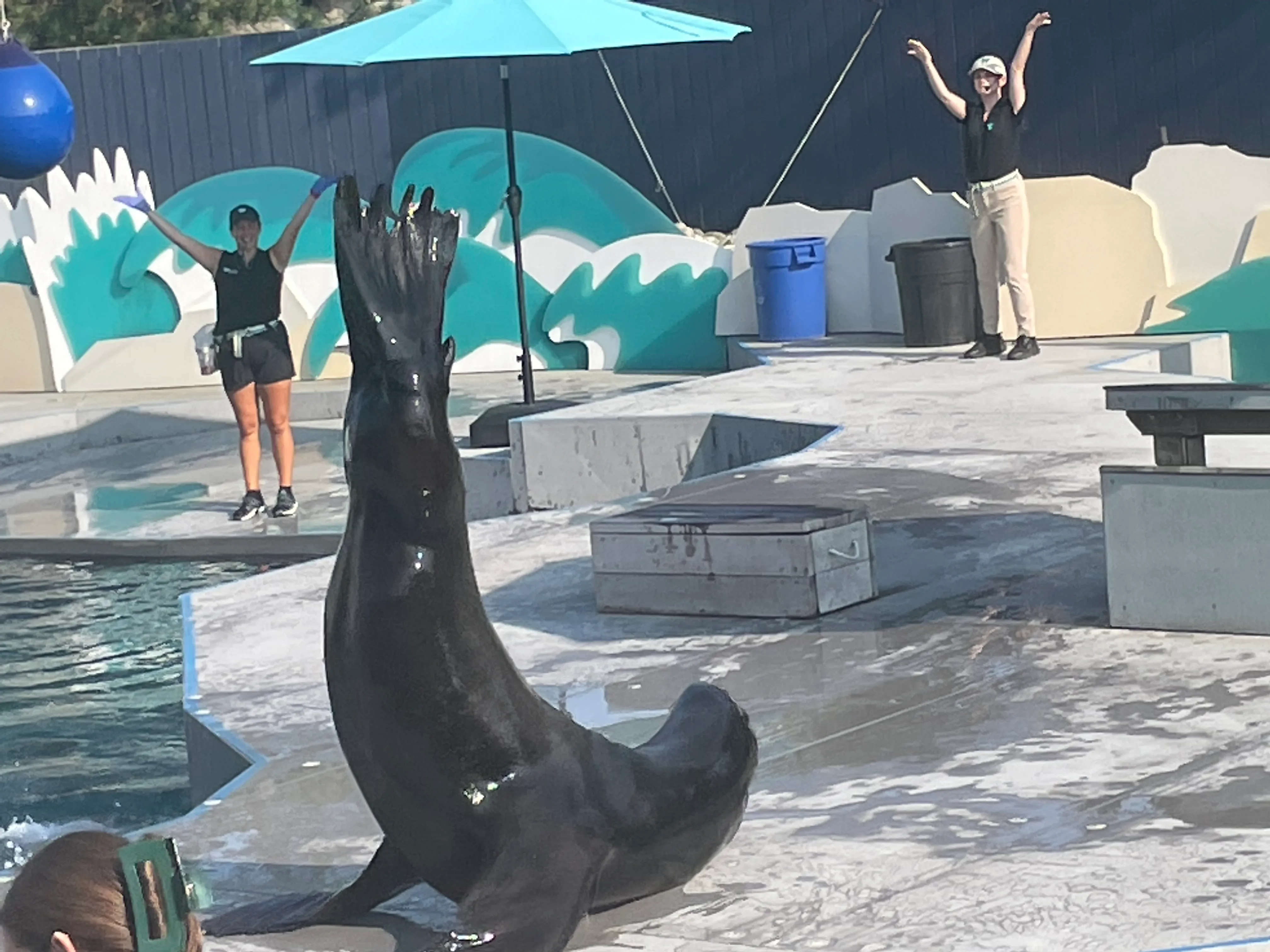 a very happy sea lion!!